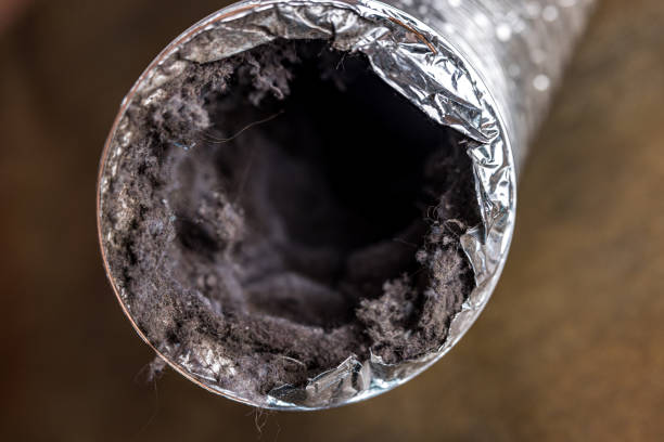 Best Affordable Air Duct Cleaning  in Lakes West, CT